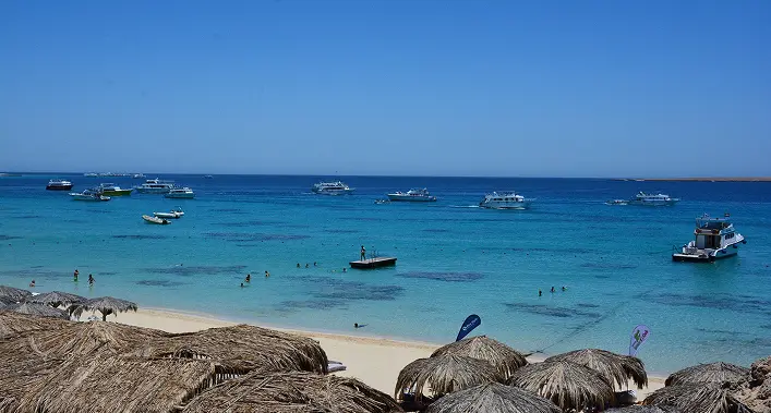 Why the Remote Fury Shoals Will Steal Every Diver's Heart