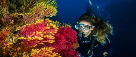 Top 5 Unforgettable Dive Sites in the Southern Red Sea