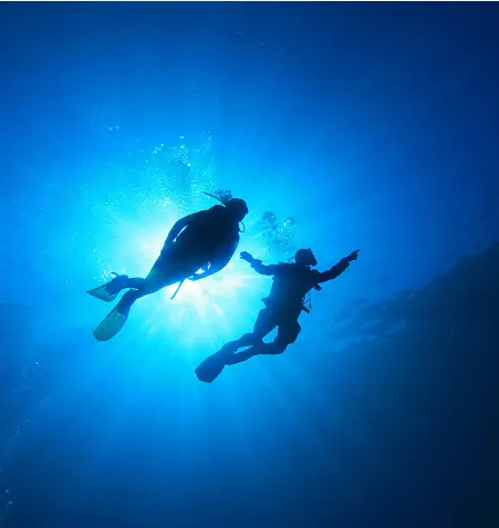 Divers silhouetted against sunlit underwater scene